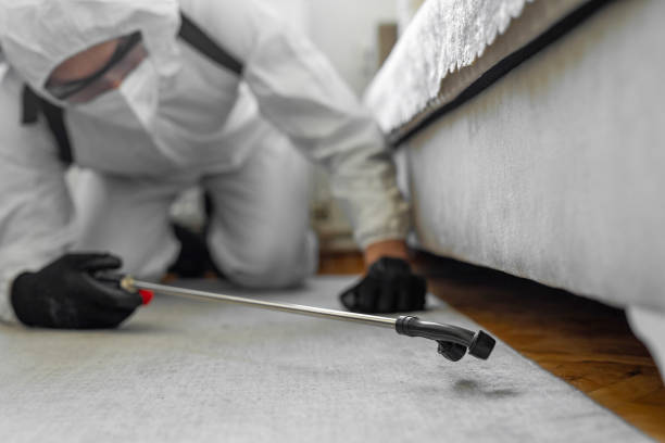 Professional Pest Control technician working in Clancy, MT